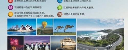 海豚,雷克萨斯,发现,鲸,海豹