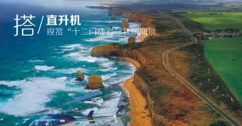 海豚,雷克萨斯,发现,鲸,海豹
