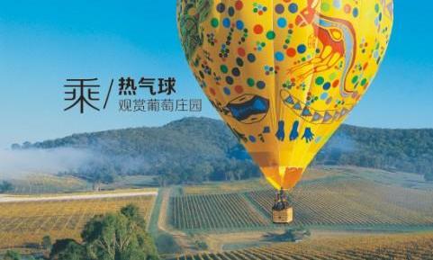 海豚,雷克萨斯,发现,鲸,海豹