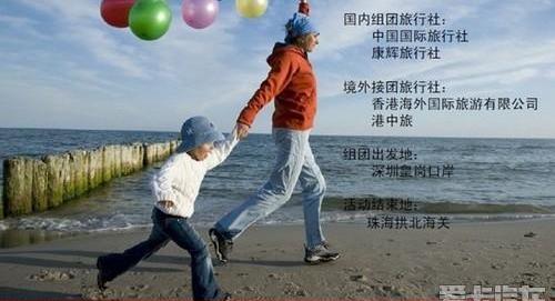 江淮,海豚,瑞风汽车,鲸