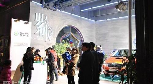 斯柯达,大众,海豚,明锐