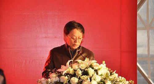 奇瑞,海豚