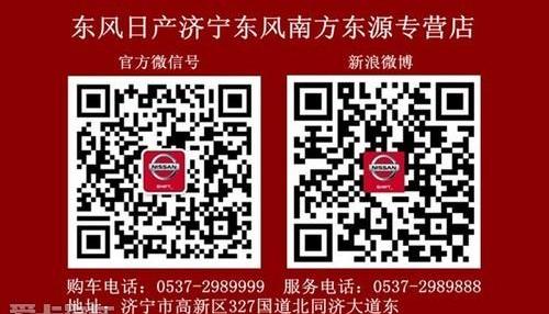 日产,东风,天籁,理念,海豚