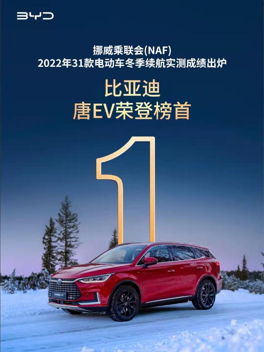 比亚迪,特斯拉