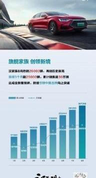汉,比亚迪,昂扬,东风