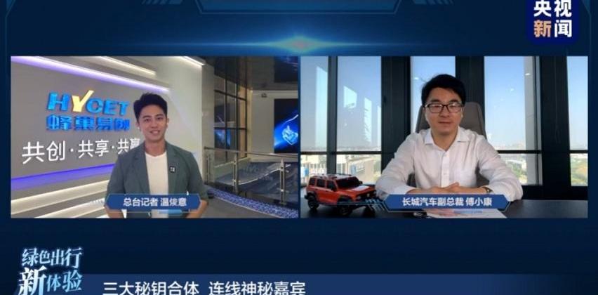 长城,理念,大发,哈弗,魏牌