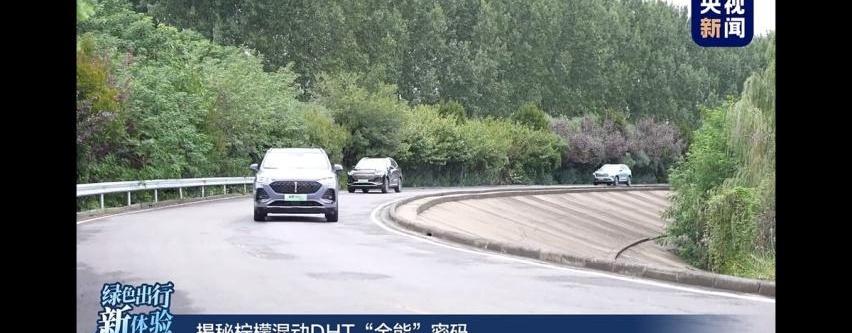 长城,理念,大发,哈弗,魏牌