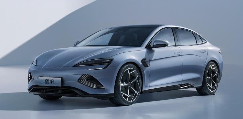 海豹,比亚迪,Model 3,特斯拉,海豚
