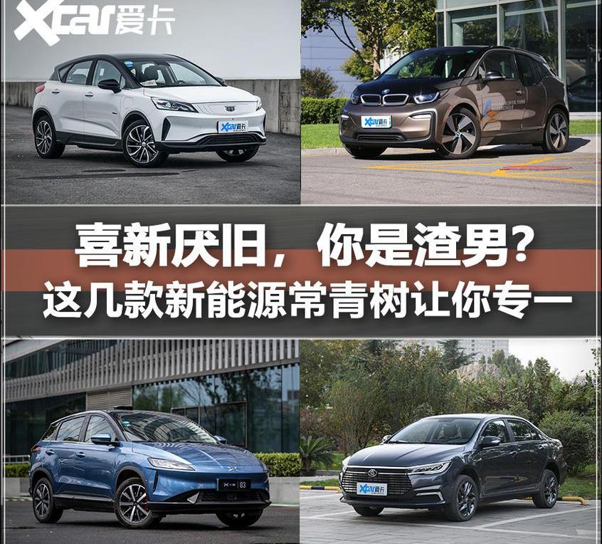 帝豪,宝马,宝马i3,理念,特斯拉