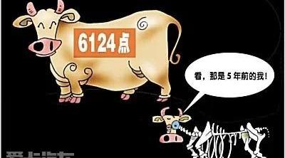 奔驰,奔驰E级,奔驰A级,迈巴赫S级,奔驰S级