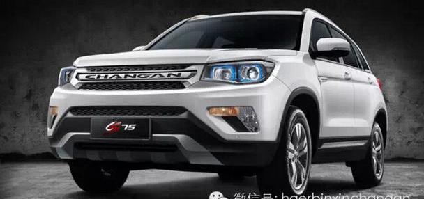 红旗,世纪,长安,悦翔,MINI