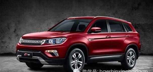 红旗,世纪,长安,悦翔,MINI
