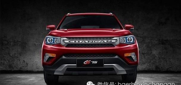 红旗,世纪,长安,悦翔,MINI