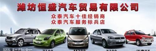 众泰,比亚迪,长安,大众,奇瑞