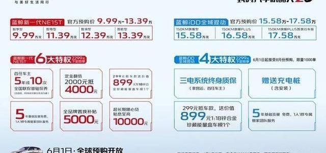 鲸,型格,炮