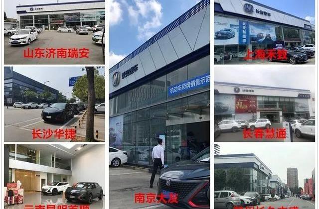 长安,发现,北京,鲸,悦翔