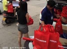 长安,悦翔,逸动