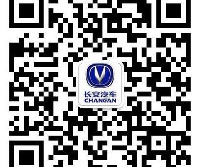 长安,悦翔,逸动,现代,奥迪