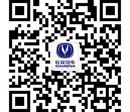 长安,悦翔,逸动,现代,奥迪