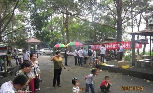 长安,奔驰,悦翔,逸动