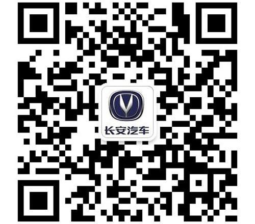 悦翔,长安,MINI,现代