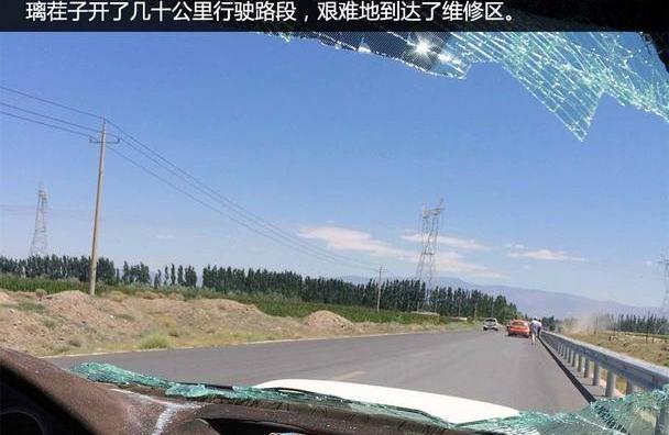 赛那,领航员,斯巴鲁
