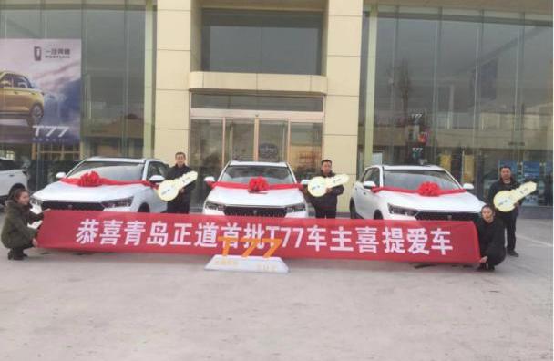 奔腾,一汽,奔腾T77,大众