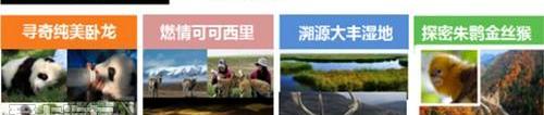 斯巴鲁,发现,理念,森林人