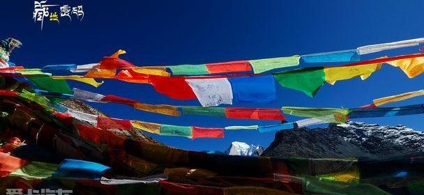 奇骏,东风,日产,奔腾,东南