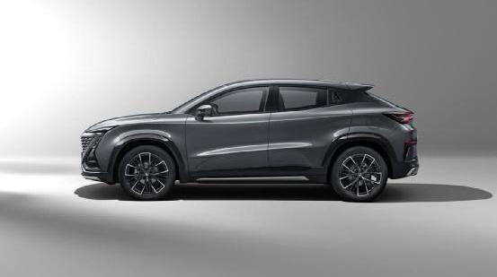 长安,魔方,发现,鲸