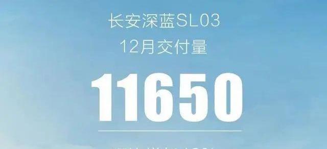 长安,长安深蓝,长安深蓝SL03,零跑汽车,特斯拉