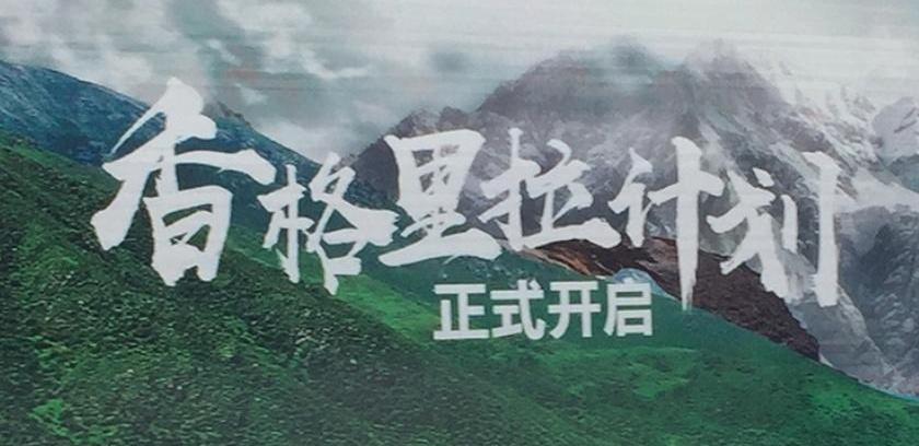 长安,长安深蓝,长安深蓝SL03,零跑汽车,特斯拉