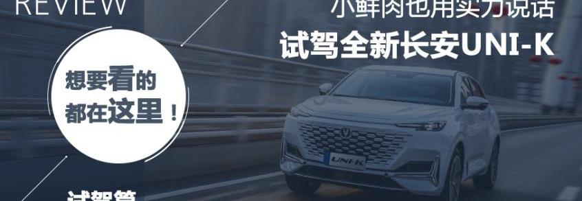 长安,长安UNI-K,鲸