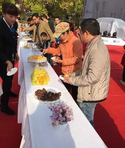 长安,长安CS75,大众