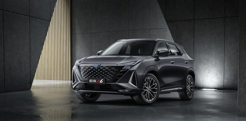 长安,长安欧尚,鲸,长安欧尚X5,DS