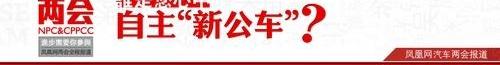 长安,长城,比亚迪,北京,奔腾