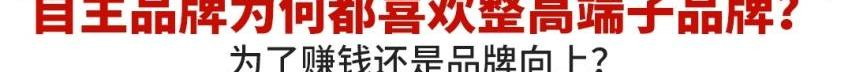长安,长安深蓝,长安深蓝SL03,比亚迪,极氪
