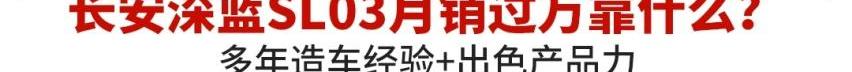 长安,长安深蓝,长安深蓝SL03,比亚迪,极氪