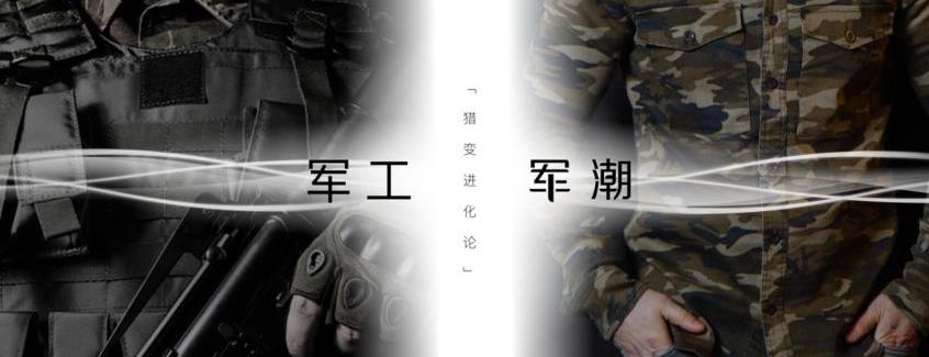 理念,现代,宝马,远程