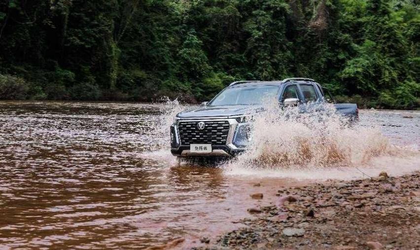 长安,览拓者,鲸