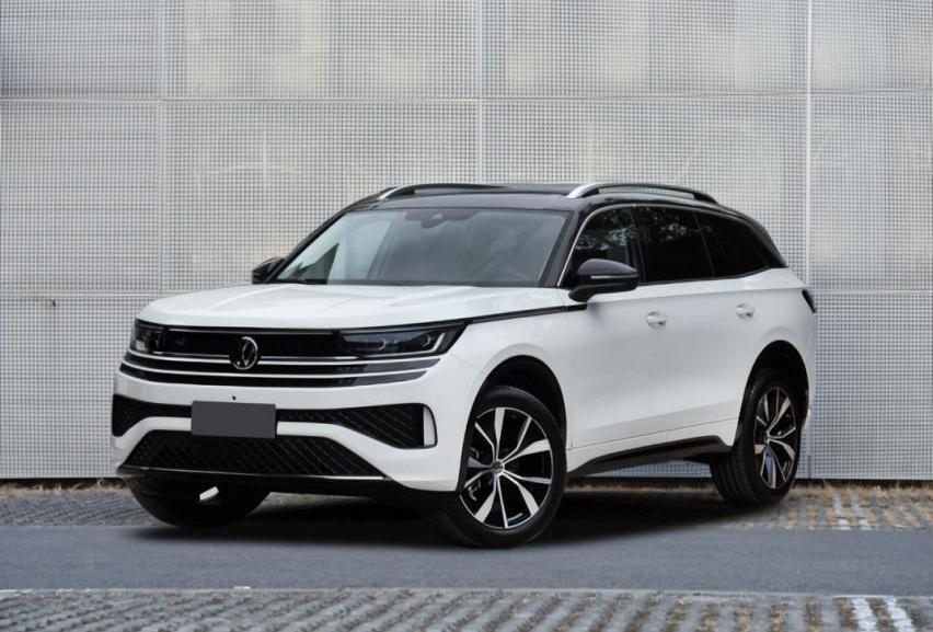 揽巡,大众,一汽,优越,远程