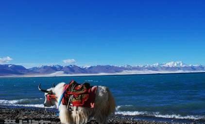 劲炫,汉,三菱,欧蓝德