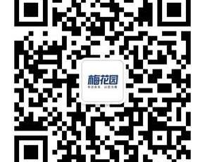 宝来,理念,大众,一汽,奔驰
