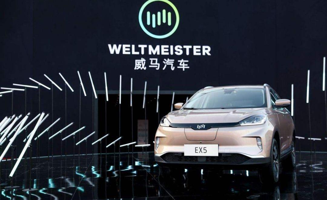 蔚来,小鹏,爱驰,理想汽车,威马汽车
