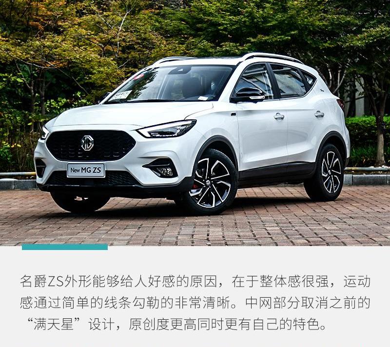 名爵ZS,名爵,斑马