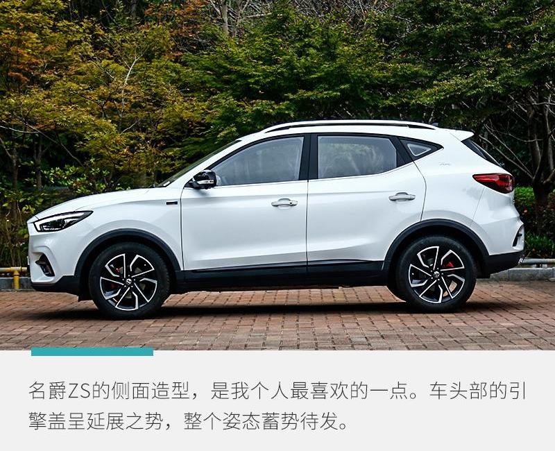 名爵ZS,名爵,斑马