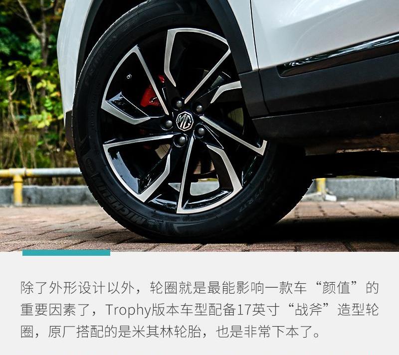名爵ZS,名爵,斑马