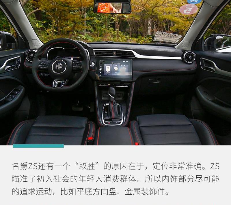 名爵ZS,名爵,斑马