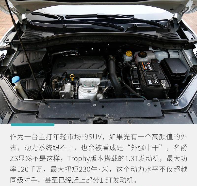 名爵ZS,名爵,斑马