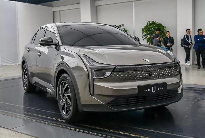 蔚来,小鹏,威马汽车,特斯拉,哪吒U